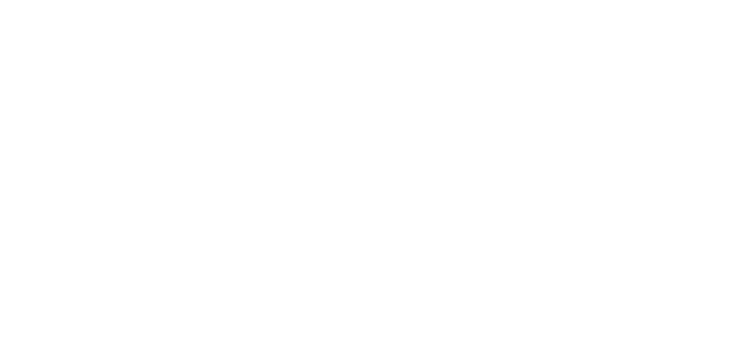 TECNIFIBRE